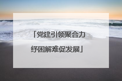 党建引领聚合力 纾困解难促发展