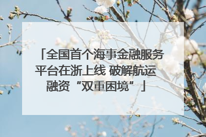 全国首个海事金融服务平台在浙上线 破解航运融资“双重困境”