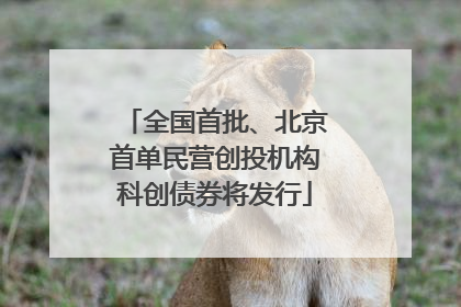 全国首批、北京首单民营创投机构科创债券将发行
