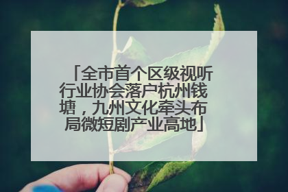 全市首个区级视听行业协会落户杭州钱塘，九州文化牵头布局微短剧产业高地