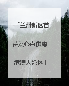 兰州新区首茬菜心直供粤港澳大湾区