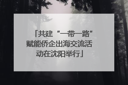 共建“一带一路”赋能侨企出海交流活动在沈阳举行