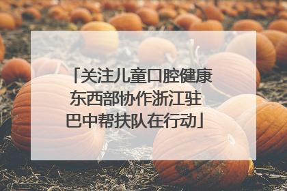 关注儿童口腔健康 东西部协作浙江驻巴中帮扶队在行动