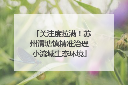 关注度拉满！苏州渭塘镇精准治理小流域生态环境