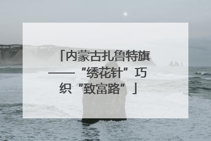 内蒙古扎鲁特旗——“绣花针”巧织“致富路”