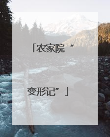 农家院“变形记”