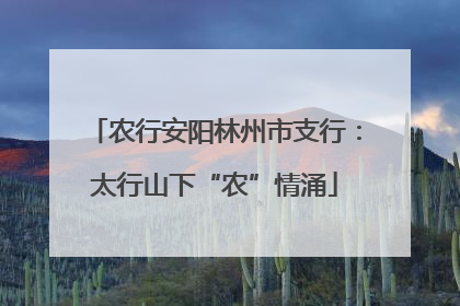 农行安阳林州市支行：太行山下“农”情涌