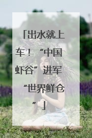 出水就上车！“中国虾谷”进军“世界鲜仓”
