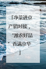 净菜进京产销对接，“潍农好品”香满京华