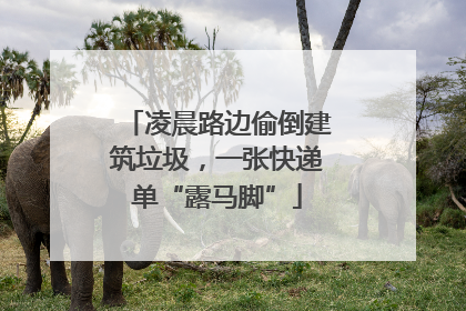 凌晨路边偷倒建筑垃圾，一张快递单“露马脚”