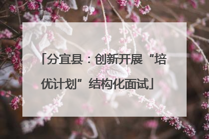 分宜县：创新开展“培优计划”结构化面试