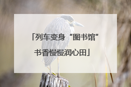 列车变身“图书馆” 书香慢慢润心田