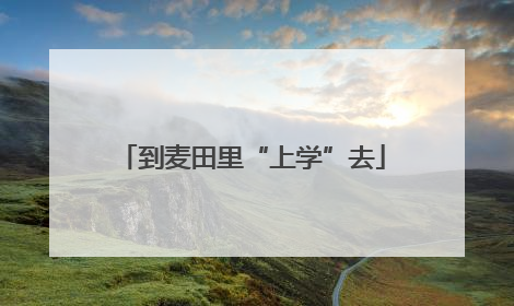 到麦田里“上学”去