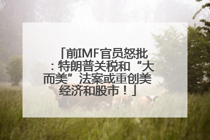 前IMF官员怒批：特朗普关税和“大而美”法案或重创美经济和股市！