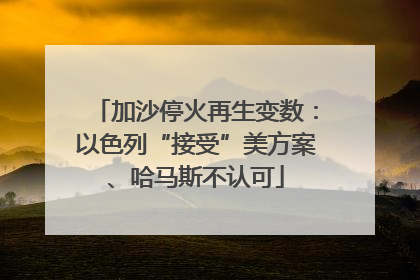 加沙停火再生变数：以色列“接受”美方案、哈马斯不认可