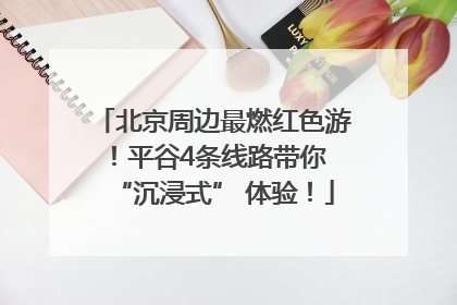 北京周边最燃红色游！平谷4条线路带你 “沉浸式” 体验！