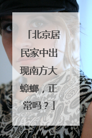 北京居民家中出现南方大蟑螂，正常吗？