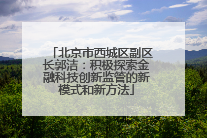 北京市西城区副区长郭洁：积极探索金融科技创新监管的新模式和新方法