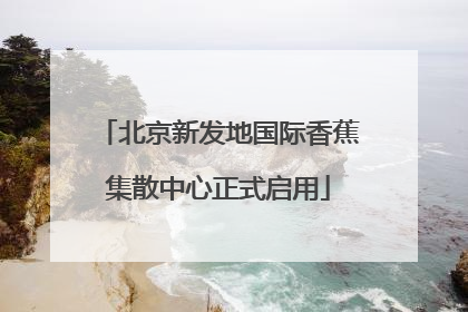 北京新发地国际香蕉集散中心正式启用