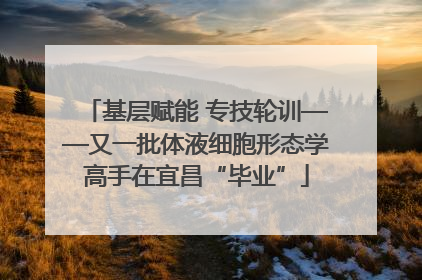 基层赋能 专技轮训——又一批体液细胞形态学高手在宜昌“毕业”