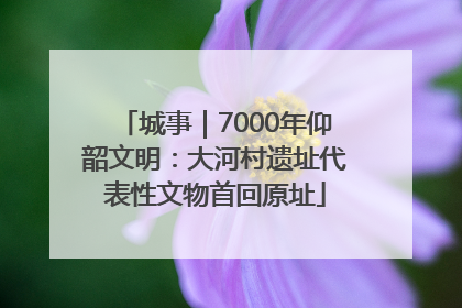 城事｜7000年仰韶文明：大河村遗址代表性文物首回原址
