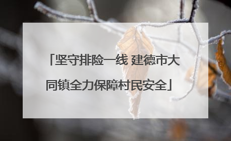 坚守排险一线 建德市大同镇全力保障村民安全