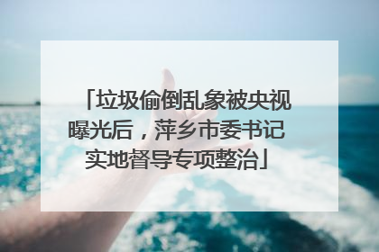 垃圾偷倒乱象被央视曝光后，萍乡市委书记实地督导专项整治