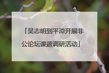 吴志明到平潭开展非公论坛课题调研活动