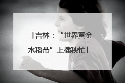 吉林：“世界黄金水稻带”上插秧忙