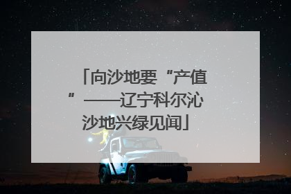 向沙地要“产值”——辽宁科尔沁沙地兴绿见闻