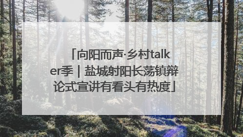 向阳而声·乡村talker季｜盐城射阳长荡镇辩论式宣讲有看头有热度