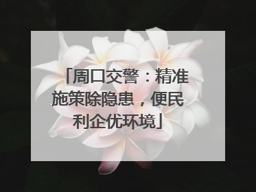 周口交警：精准施策除隐患，便民利企优环境