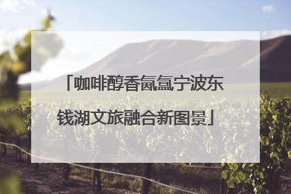 咖啡醇香氤氲宁波东钱湖文旅融合新图景