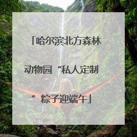 哈尔滨北方森林动物园“私人定制”粽子迎端午