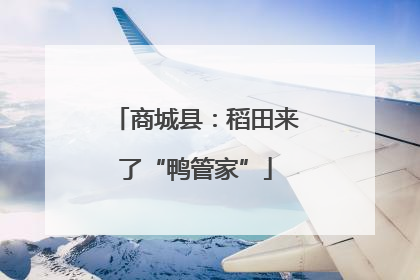 商城县：稻田来了“鸭管家”