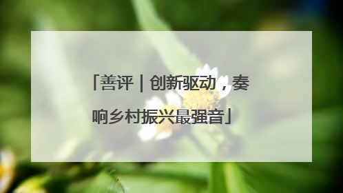 善评｜创新驱动，奏响乡村振兴最强音