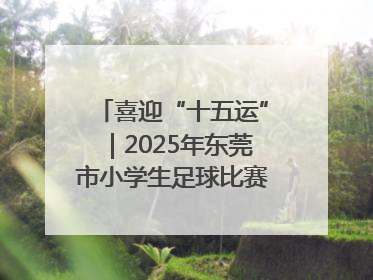 喜迎“十五运”｜2025年东莞市小学生足球比赛圆满收官