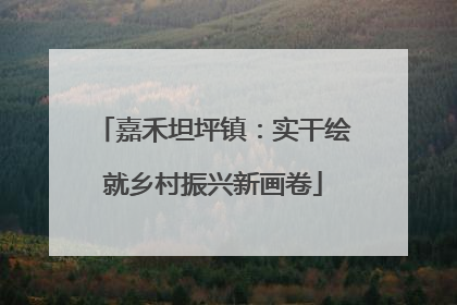 嘉禾坦坪镇：实干绘就乡村振兴新画卷