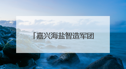 嘉兴海盐智造军团，全省“出圈”