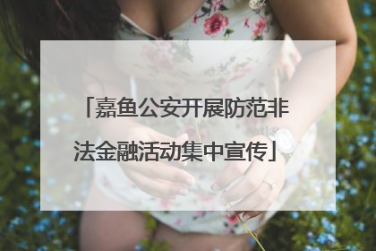 嘉鱼公安开展防范非法金融活动集中宣传