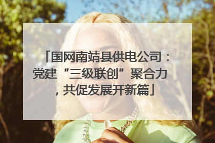 国网南靖县供电公司：党建“三级联创”聚合力，共促发展开新篇