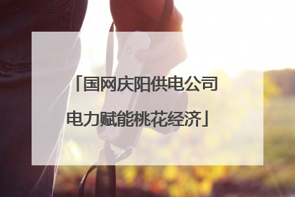 国网庆阳供电公司电力赋能桃花经济