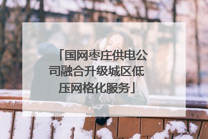 国网枣庄供电公司融合升级城区低压网格化服务