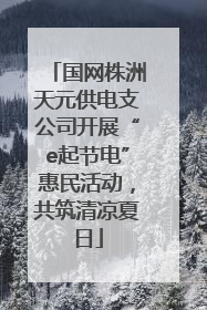 国网株洲天元供电支公司开展“e起节电”惠民活动，共筑清凉夏日