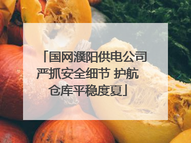 国网濮阳供电公司严抓安全细节 护航仓库平稳度夏
