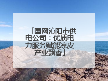 国网沁阳市供电公司：优质电力服务赋能凉皮产业飘香