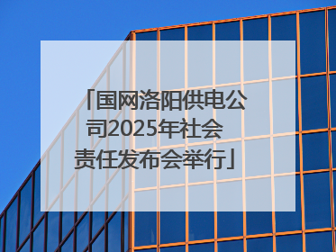 国网洛阳供电公司2025年社会责任发布会举行