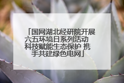 国网湖北经研院开展六五环境日系列活动 科技赋能生态保护 携手共建绿色电网