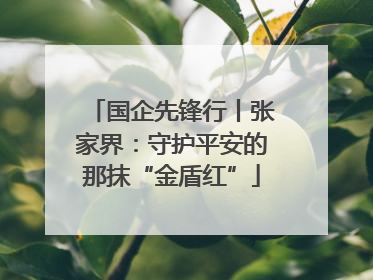 国企先锋行丨张家界：守护平安的那抹“金盾红”