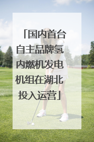 国内首台自主品牌氢内燃机发电机组在湖北投入运营